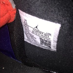 Air Jordan 4 winterized